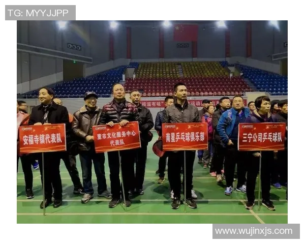 南京乒乓球队区域防守革新探索与实践的深度解析与展望