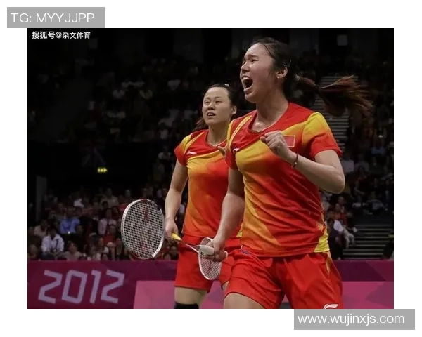 深入探讨北京羽毛球队运动员个人能力表现的数据分析与评估