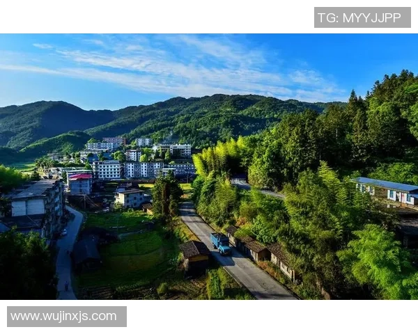 陈强谈乒乓球生涯：从青涩少年到世界冠军的奋斗与荣耀